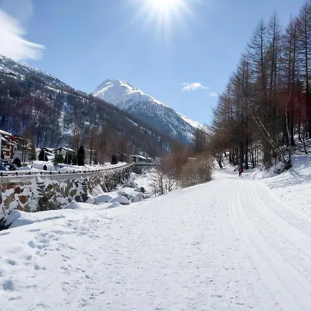 Appartement Haus Arizona By Interhome Saas-Almagell